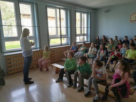 Poznajemy owady - 20.04.2018