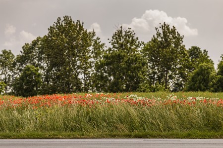 Fot. Szymon Zdziebło/tarantoga.pl