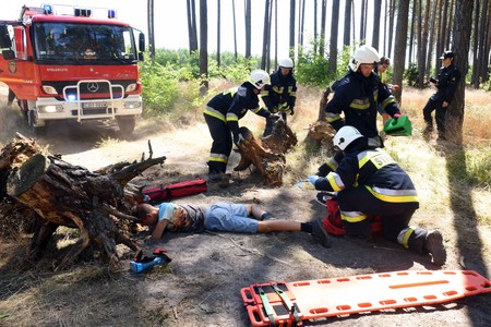 Plan ćwiczeń został oparty o doświadczenia zeszłorocznych nawałnic w Borach Tucholskich, fot. Robert Sawicki