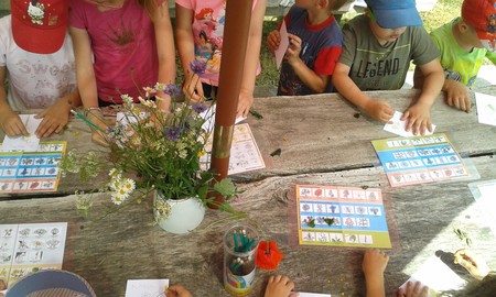 Zajęcia edukacyjne w Zespole Parków Krajobrazowych Chełmińskiego i Nadwiślańskiego - 25.05.2018