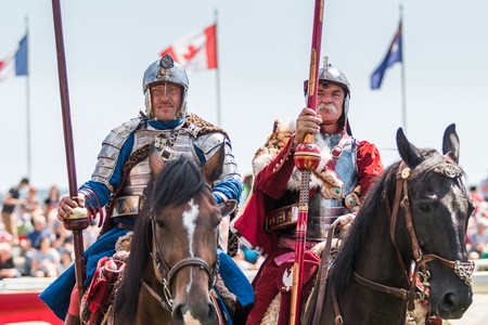 42. Wielki Międzynarodowy Turniej Rycerski w Golubiu-Dobrzyniu, fot. Szymon Zdziebło/tarantoga.pl