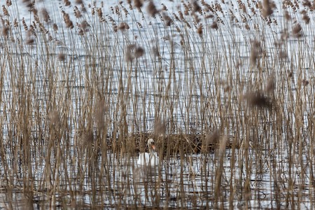 Fot. Filip Kowalkowski dla UMWKP