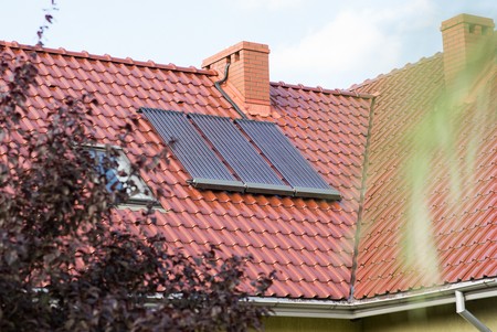 Fot. Tytus Szabelski