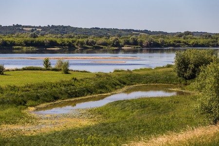Alicja Rapsiewicz odwiedziła między innymi Dolinę Dolnej Wisły (na zdj. okolice Borówna), fot. Szymon Zdziebło/tarantoga.pl