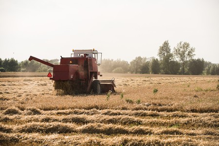 Fot. Tymon Markowski