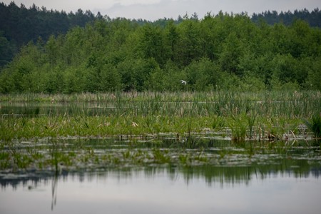 Uczestnicy rajdu przejadą urokliwym zakątkami Brodnickiego Parku Krajobrazowego, fot. Łukasz Piecyk