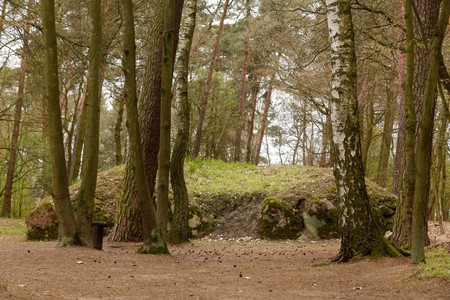 Grobowce megalityczne w Wietrzychowicach, fot. Mikołaj Kuras