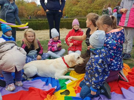 Festyn rodzinny w Centrum Targowym „Park” w Toruniu, fot. Magdalena Jankowska