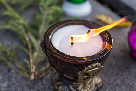 Fot. Szymon Zdziebło/tarantoga.pl dla UMWKP