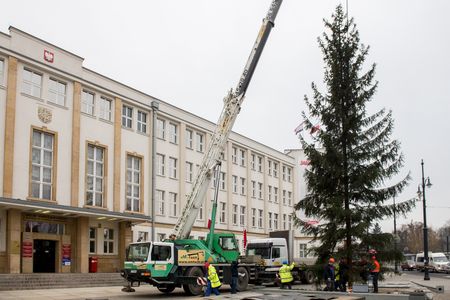 Montaż choinki przed Urzędem Marszałkowskim w Toruniu, fot. Łukasz Piecyk