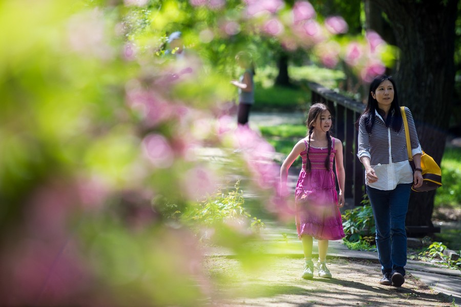Park Ośrodka Chopinowskiego, fot. Łukasz Piecyk