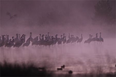 Niezwykle piękne tereny Doliny Drwęcy są temat konkursu plastycznego proponowanego przez LGD „Dolina Drwęcy”, fot. Daniel Pach