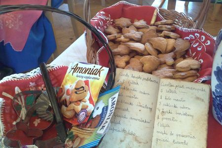 Anoniaczki, fot z zasobów UMWK-P