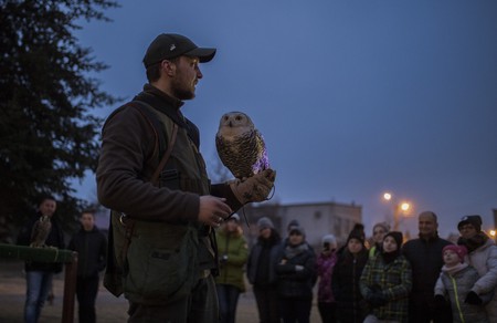 Ubiegłoroczna Noc Sów we Wdeckim Parku Krajobrazowym, fot. Daniel Pach