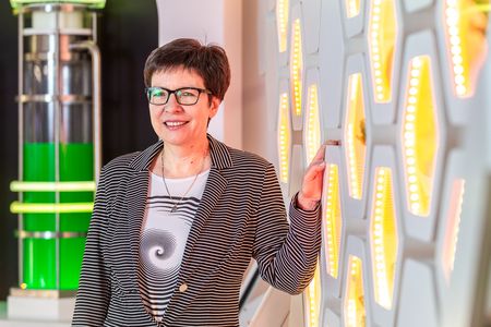 Fot. Szymon Zdziebło/tarantoga.pl dla UMWKP