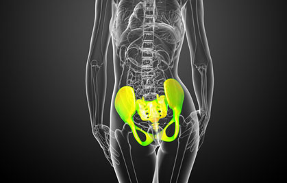 Fot. maya2008 - Fotolia