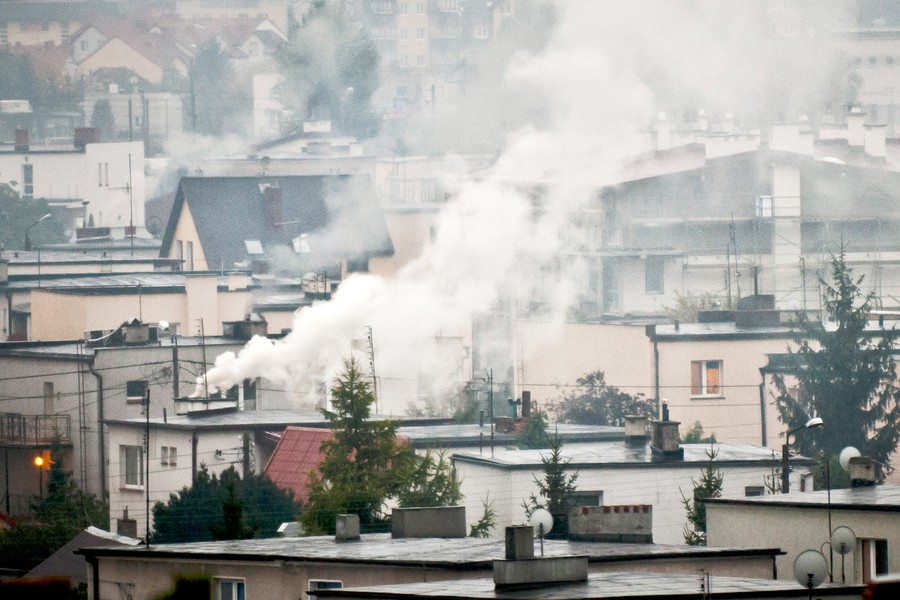 Fot. Tymon Markowski