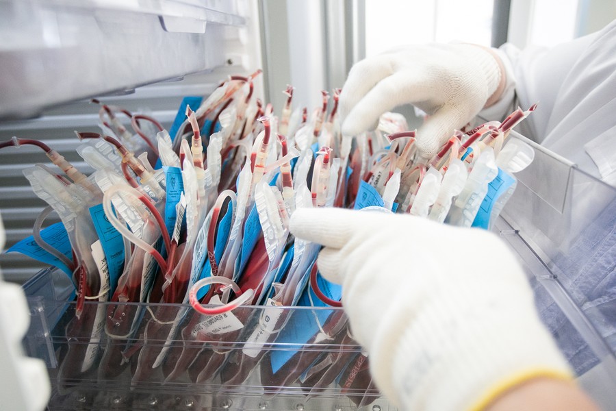 Fot. Filip Kowalkowski dla UMWKP