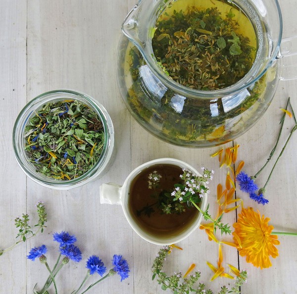 Herbatka z macierzanki, wykonała Katarzyna Rymarz