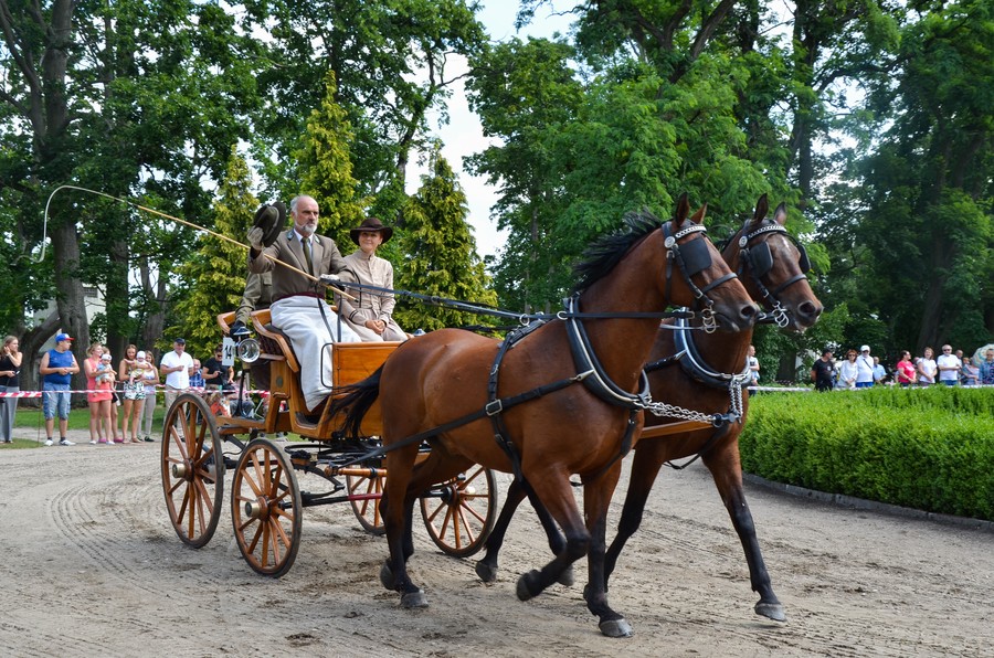 W Lubostroniu będzie można podziwiać pojazdy konne, fot. Pałac Lubostroń