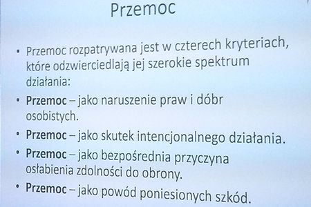 Slajd z konferencji - 4 rodzaje przemocy, fot. Biuro Wsparcia Rodziny i Przeciwdziałania Przemocy