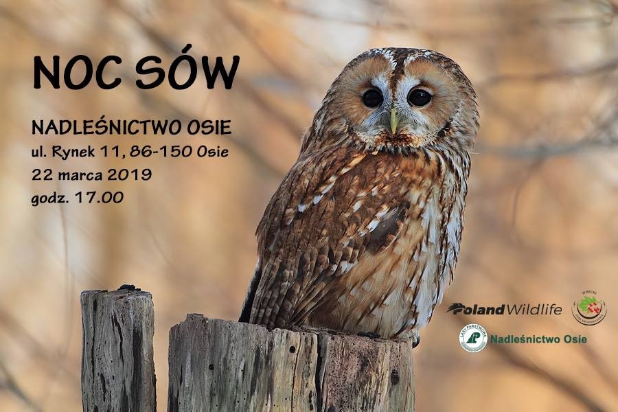 Noc sów - 22.03.2019