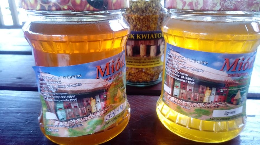 Dzień pszczół - 28.08.2019