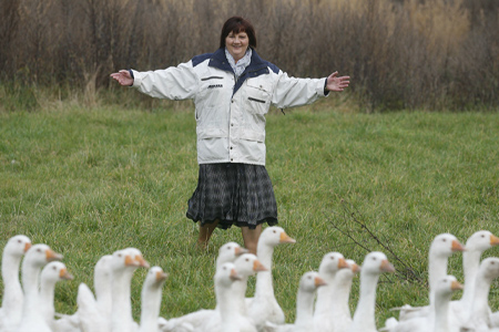 Fot. Andrzej Goiński/UMWKP