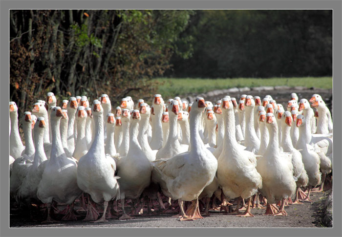 Fot. Daniel Pach dla UMWKP Fot. Daniel Pach dla UMWKP