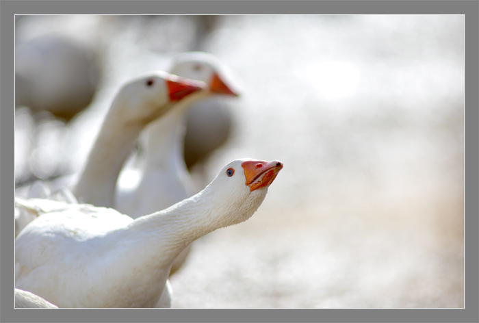 Fot. Daniel Pach dla UMWKP Fot. Daniel Pach dla UMWKP