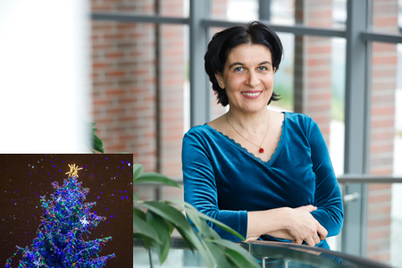 Fot. Mikołaj Kuras dla UMWKP / Fot. Szymon Zdziebło/tarantoga.pl dla UMWKP