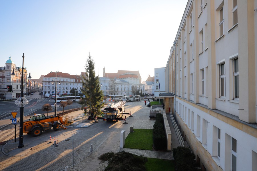 Choinka dotarła na plac przed Urzędem Marszałkowskim, fot. Mikołaj Kuras