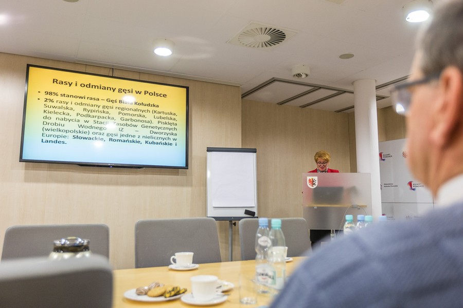 Szkolenia z przyzagrodowego chowu gęsi w Urzędzie Marszałkowskim w Toruniu, fot. Szymon Zdziebło/tarantoga.pl