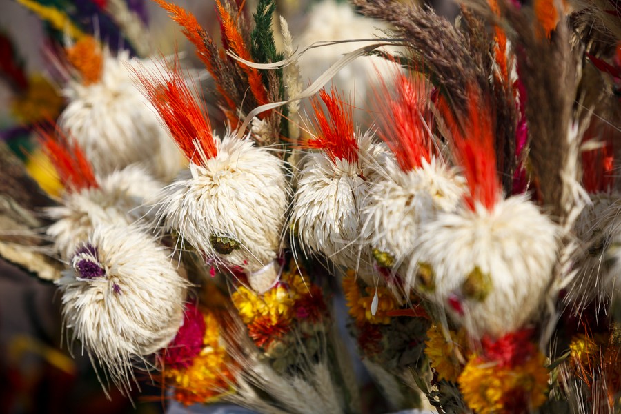 Fot. Filip Kowalkowski dla UMWKP