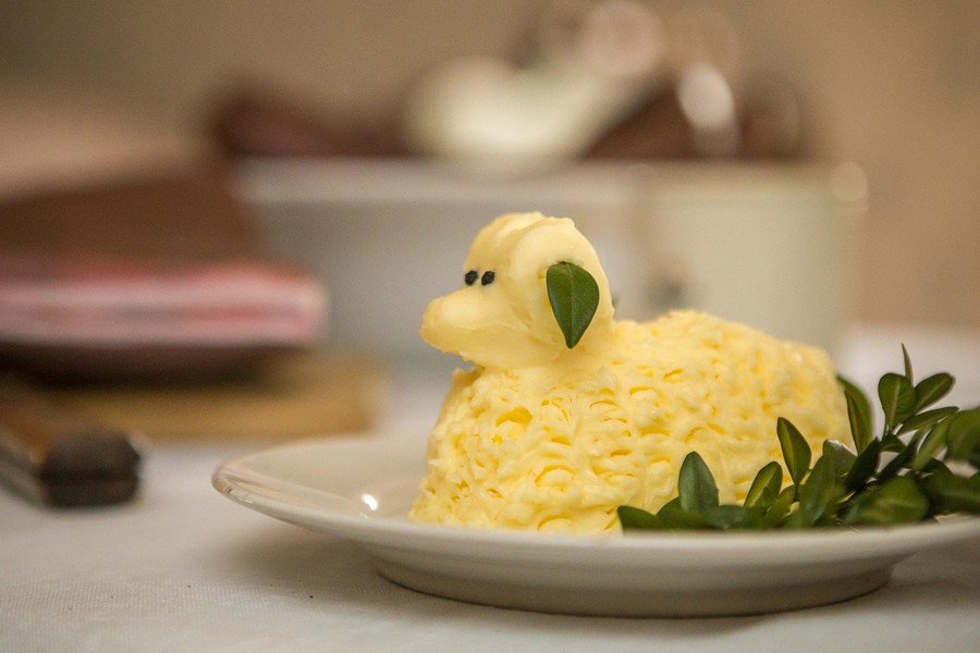 fot. Szymon Zdziebło tarantoga.pl