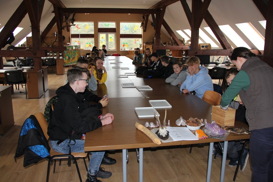 Zajęcia z Edukatorem - 4.11.2019 GLPK