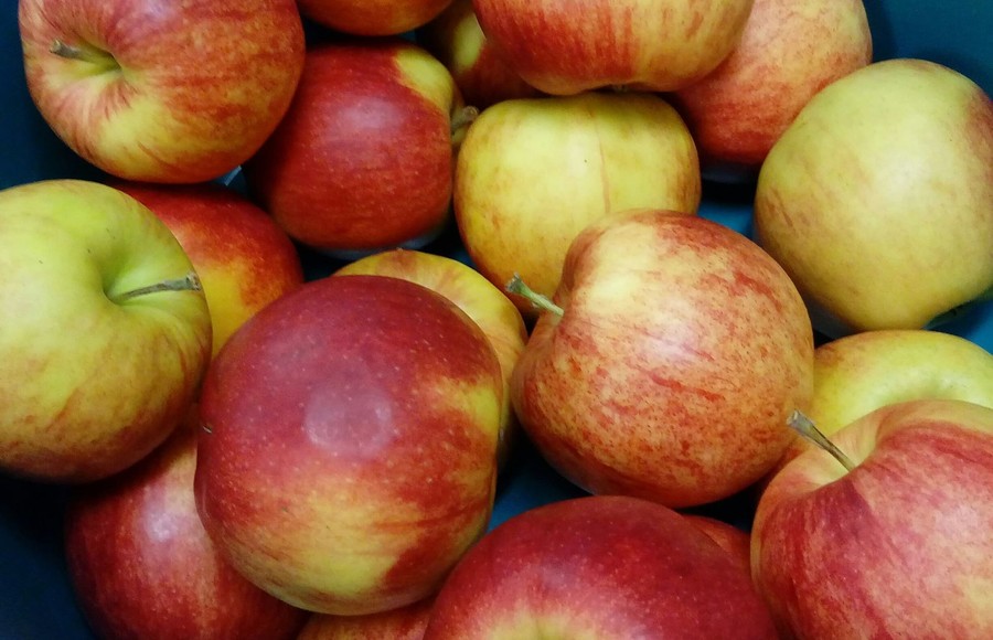 Święto jabłka - 21.11.2019 WPK