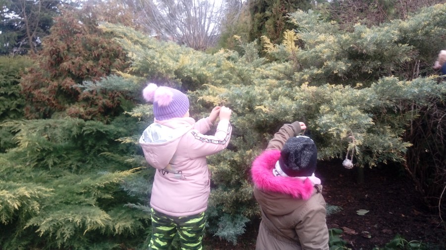 Dokarmianie ptaków 12.12.2019 WPK