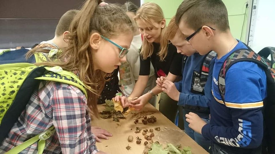 Zasady grzybobrania - 25.11.2019 KPK