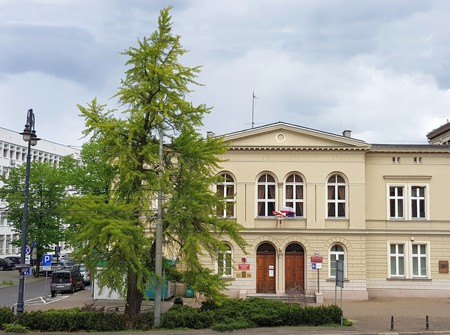 Miłorząb KPCEN Bydgoszcz
