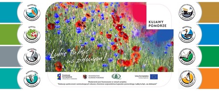 Parki krajobrazowe województwa kujawsko-pomorskiego