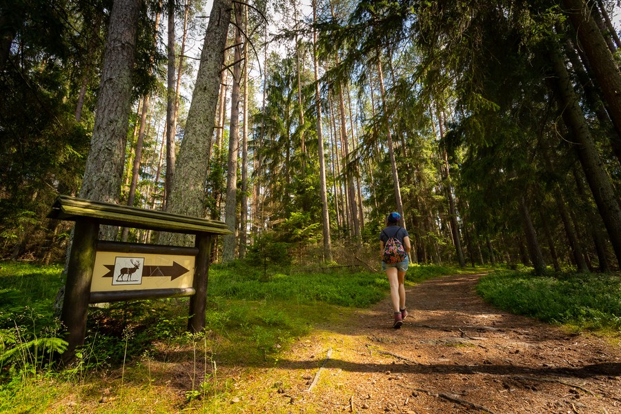 Fot. Mikołaj Kuras dla UMWKP