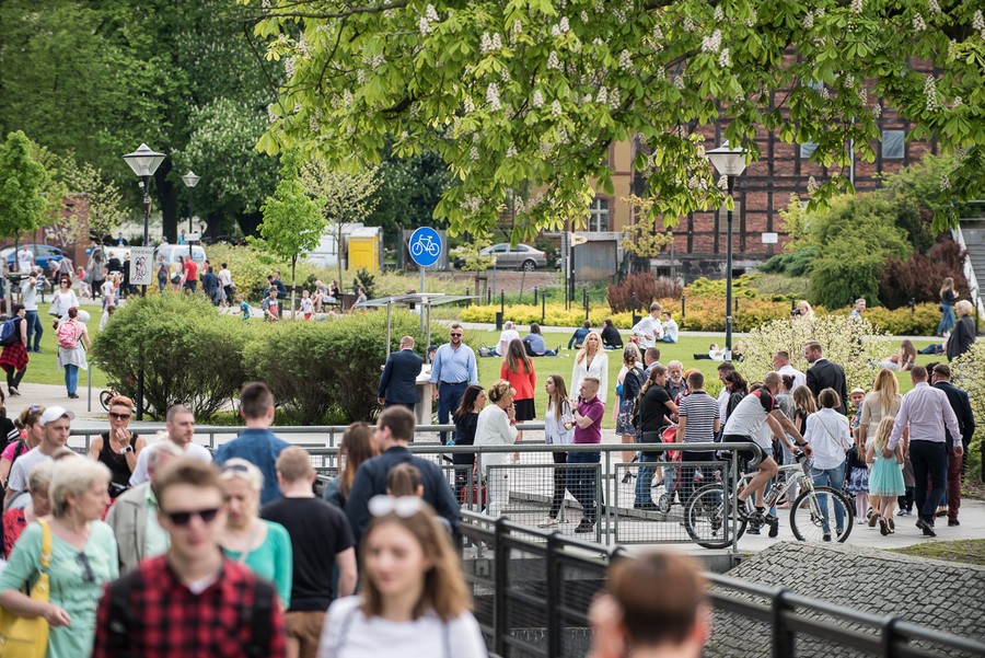 Fot. Tymon Markowski dla UMWKP