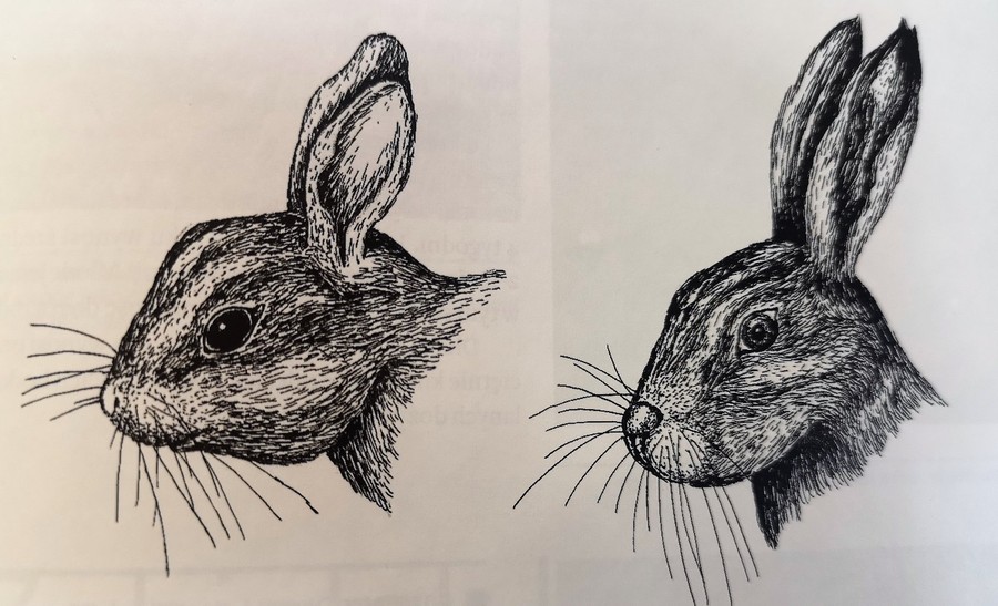 Wielkanocny zajączek 30.03.2020