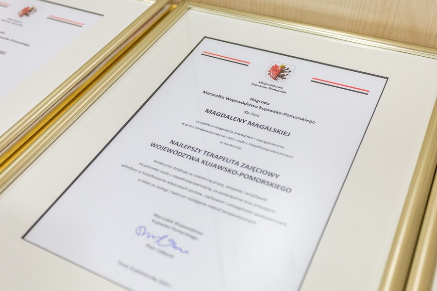 Spotkanie z najlepszymi terapeutami zajęciowymi województwa, fot. Szymon Zdziebło/tarantoga.pl dla UMWKP