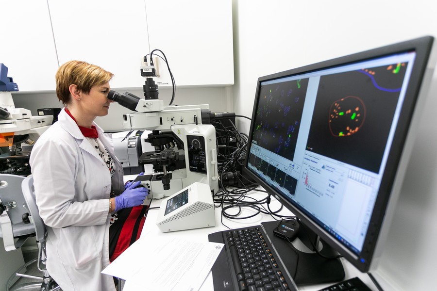 Fot. Filip Kowalkowski dla UMWKP