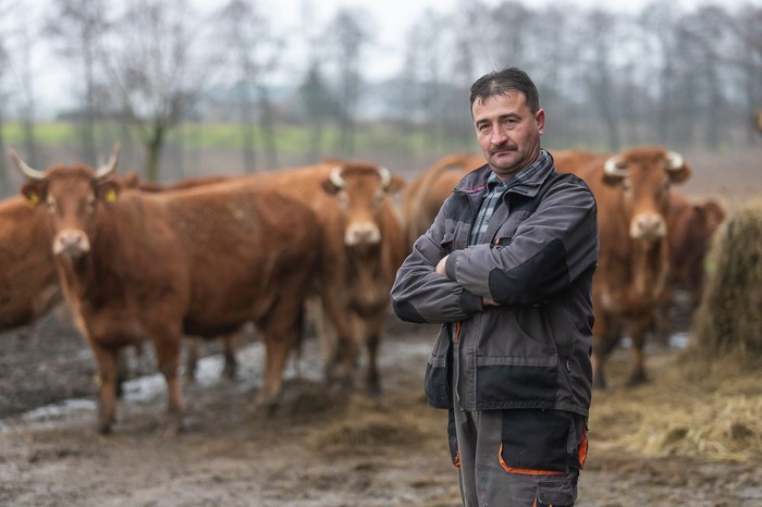 Zbigniew Augustyn na tle swoich krów, fot. Mikołaj Kuras dla UMWKP