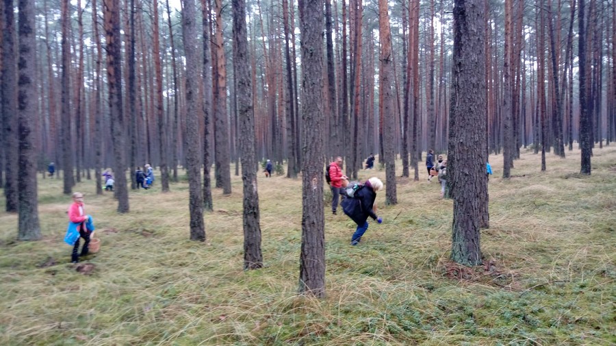 Grzybobranie we Wdeckim Parku Krajobrazowym 30.09.2020 WPK