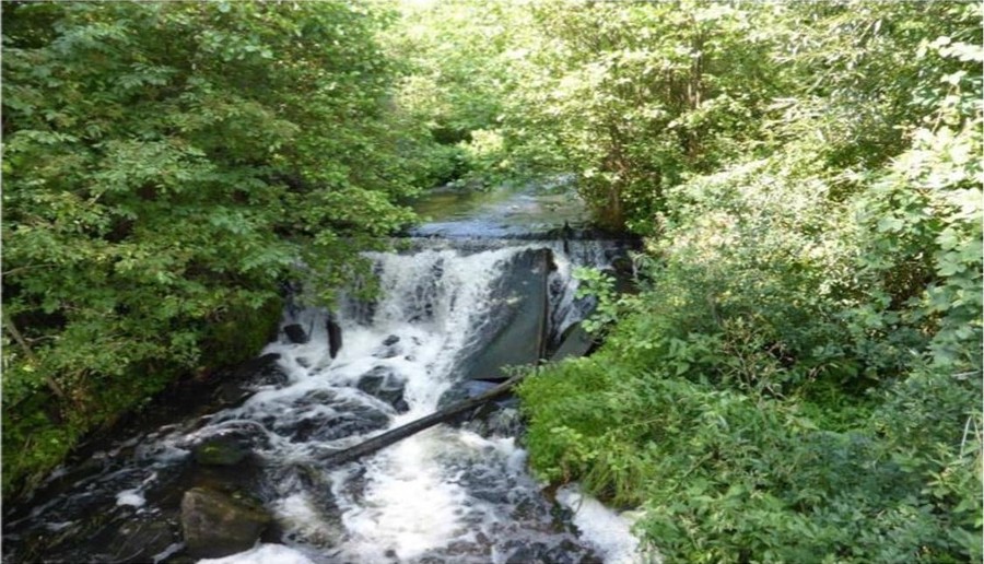 Rzeka Mątawa 05.11.2020 ZPK