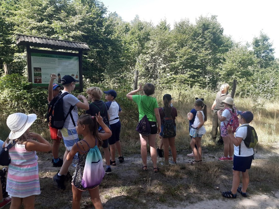 Wakacyjne warsztaty ekologiczne 17.08.2020 WPK